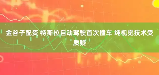 金谷子配资 特斯拉自动驾驶首次撞车 纯视觉技术受质疑