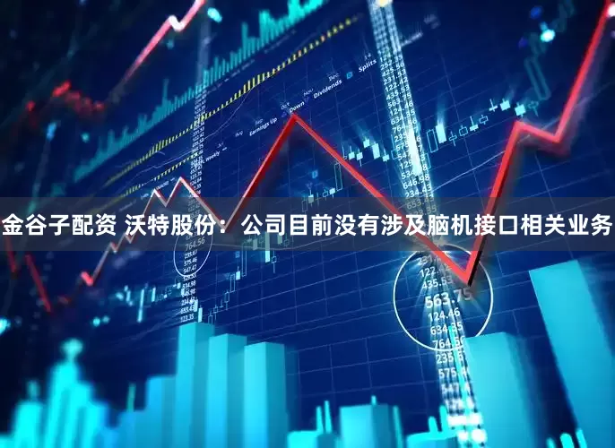 金谷子配资 沃特股份：公司目前没有涉及脑机接口相关业务