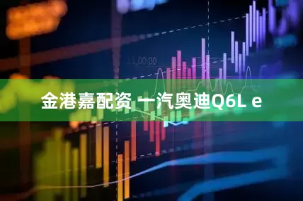 金港嘉配资 一汽奥迪Q6L e